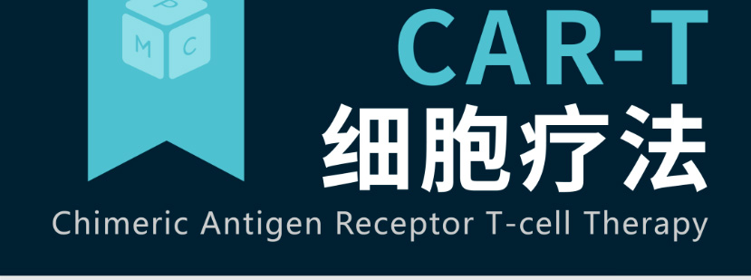 干貨收藏:CAR-T細(xì)胞療法