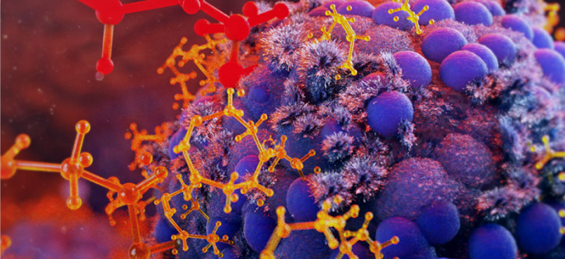 細(xì)胞因子在免疫細(xì)胞治療中的應(yīng)用