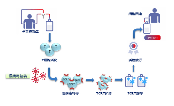 TCR-T新銳融資4億,該領域全球融資動態一覽
