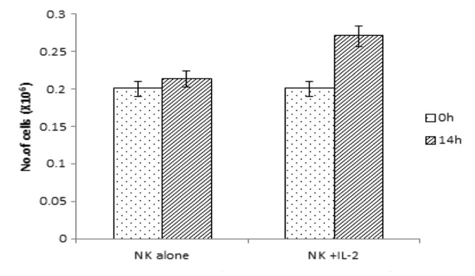 白介素對NK細胞功能的影響(IL-1β、IL-12、IL-15、IL-18、IL-21)