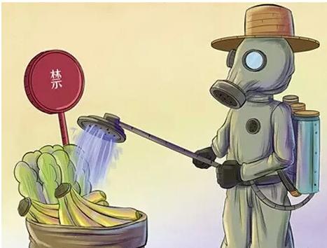 農(nóng)殘檢測儀 農(nóng)殘檢測儀