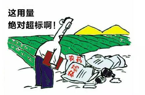 農(nóng)藥殘留速測(cè)儀 農(nóng)藥殘留速測(cè)儀