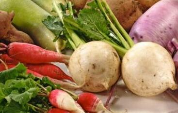 蔬菜農藥殘留速測儀 蔬菜農藥殘留速測儀