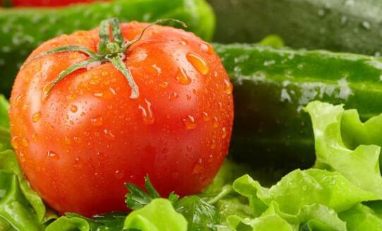 農(nóng)殘快速檢測儀 農(nóng)殘快速檢測儀