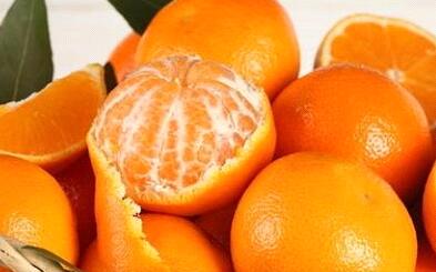 食品安全檢測(cè)儀 食品安全檢測(cè)儀