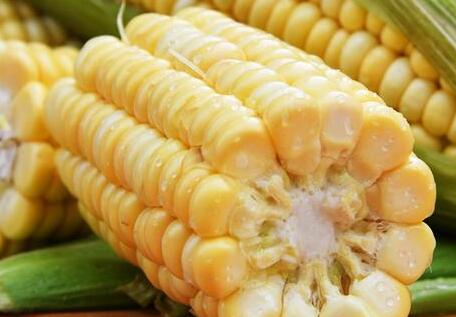 食品重金屬測定儀 食品重金屬測定儀