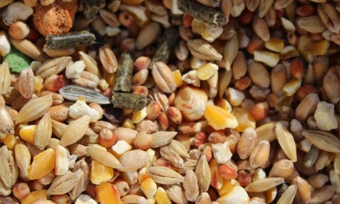 食品重金屬檢測(cè)儀 食品重金屬檢測(cè)儀